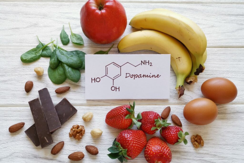 Dopamine Tout Savoir Sur La Substance Qui R Gule Le Plaisir Conseils