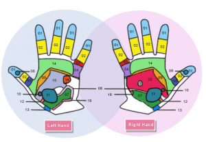 reflexologie palmaire – reflexologie des mains
