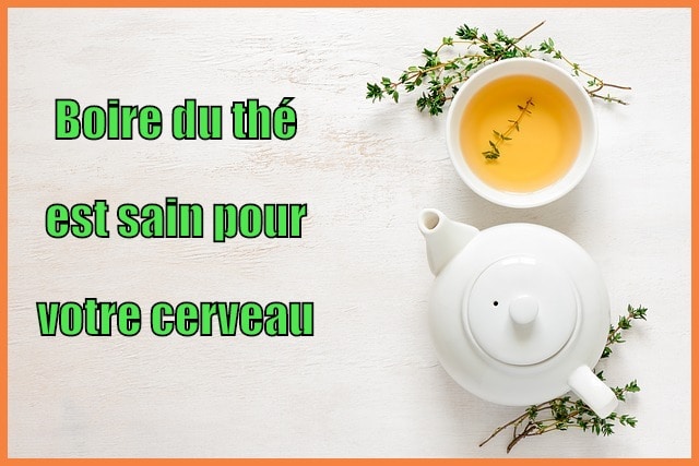 Boire du thé est sain pour votre cerveau