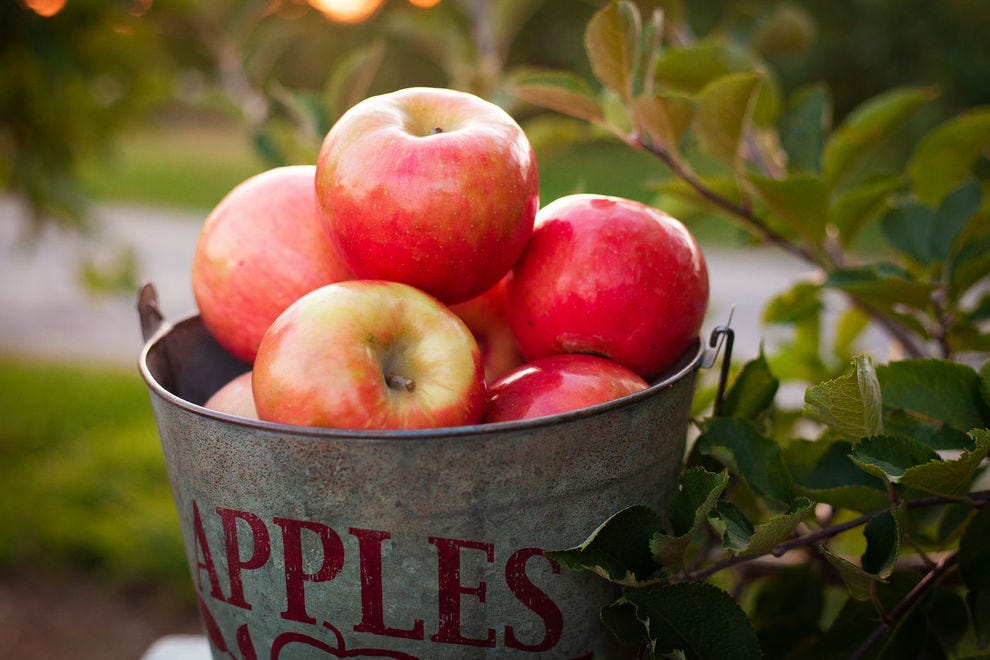🍎 10 Types De Pommes à Essayer Cet Automne Conseils Beauté Santé
