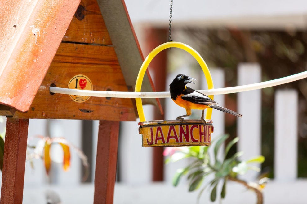 Restaurant de Jaanchie