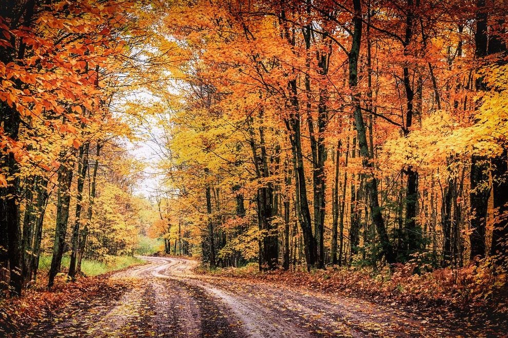 Le feuillage d'automne dans l'UP a tendance à culminer fin septembre