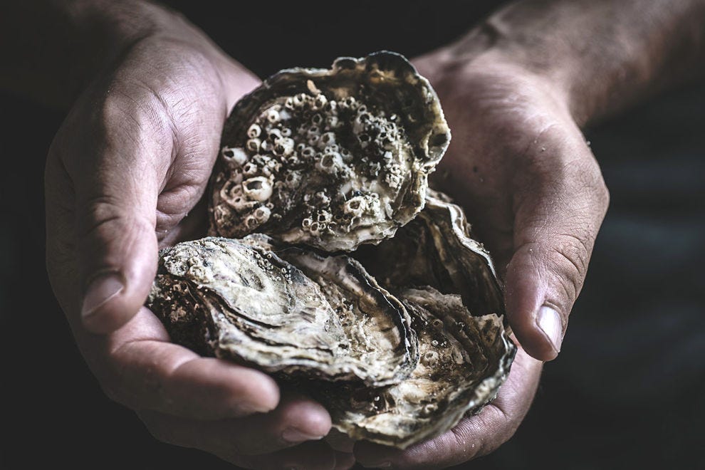 Huitres fraiches