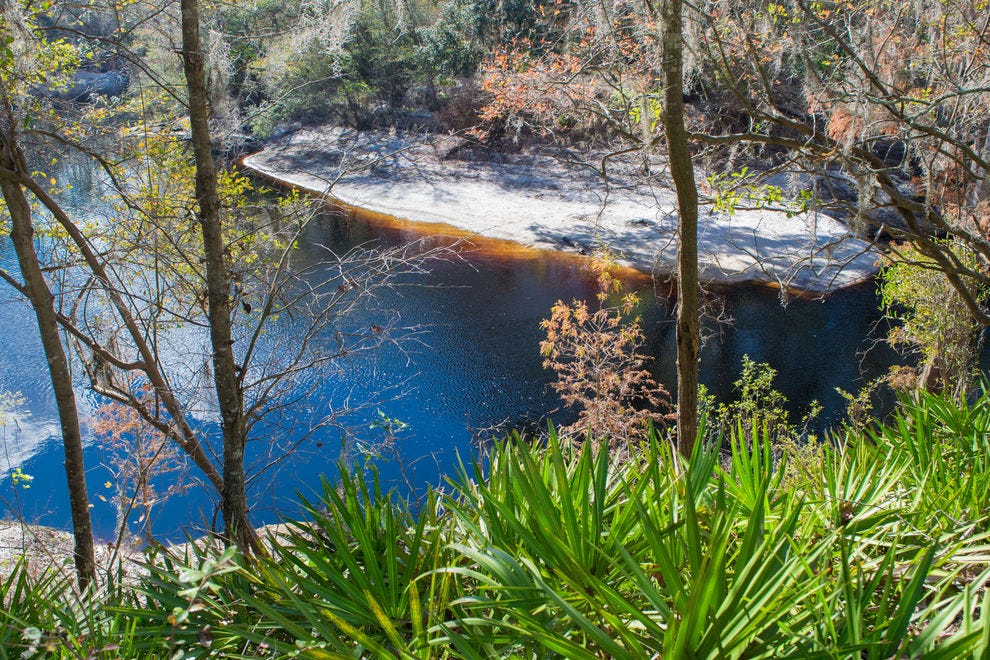 Rivière Suwannee