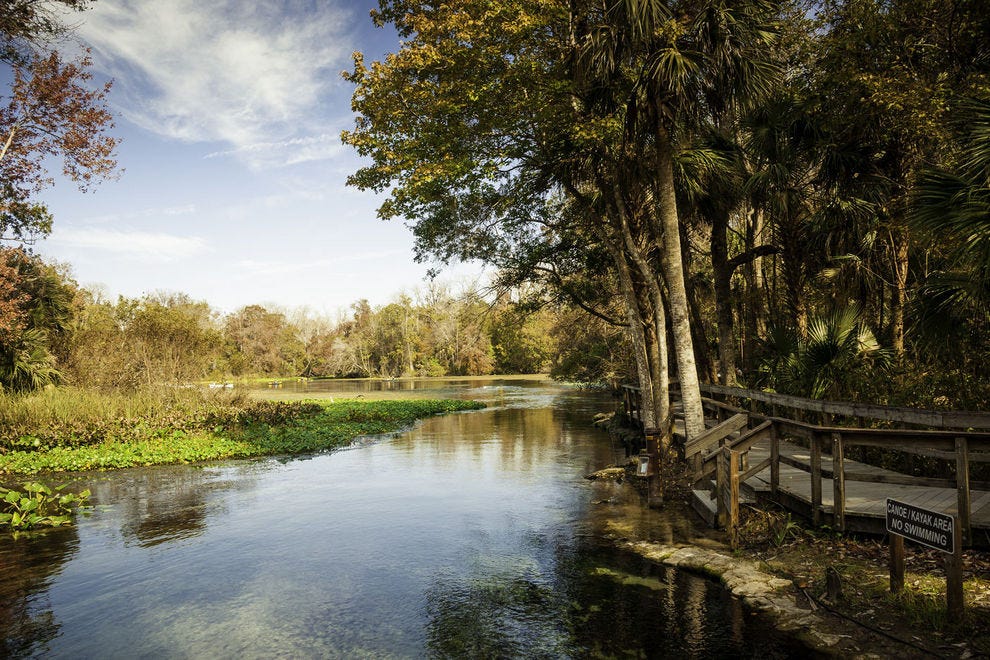 Wekiwa Springs