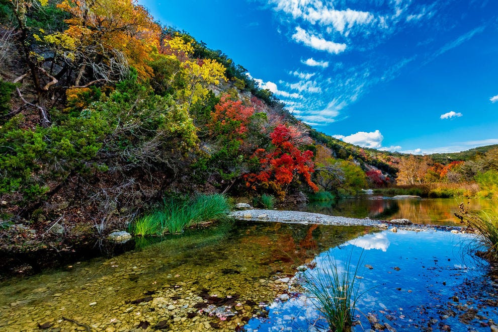 Zone naturelle d'état des érables perdus