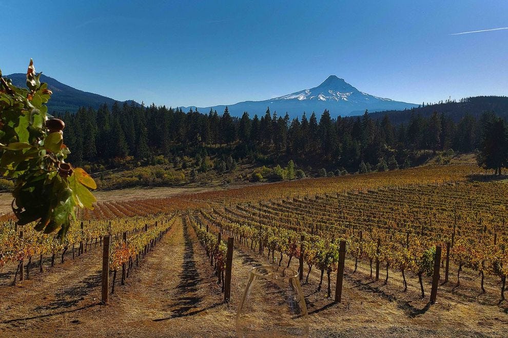 Mt.  Hood sur les vignes