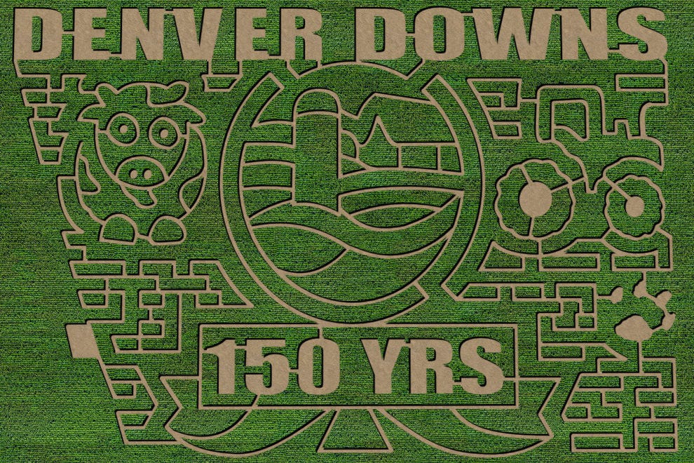 Labyrinthe anniversaire 2020 à Denver Downs