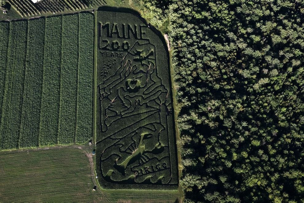 Labyrinthe de l'État du Maine à Treworgy Family Orchards