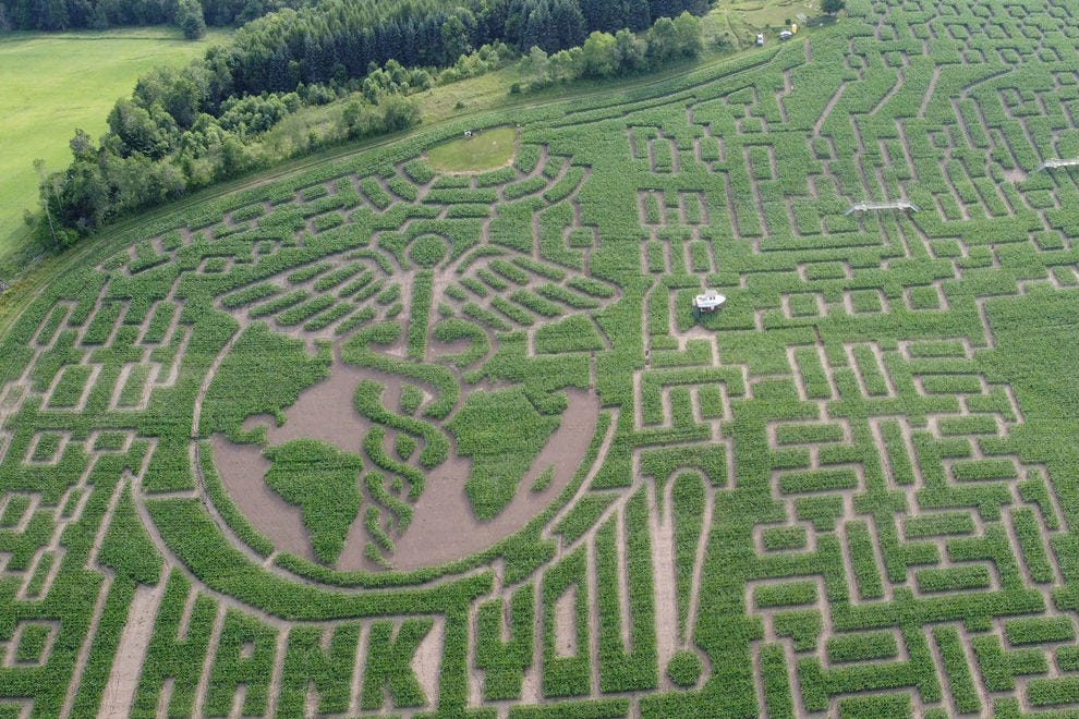 Grand labyrinthe de maïs du Vermont