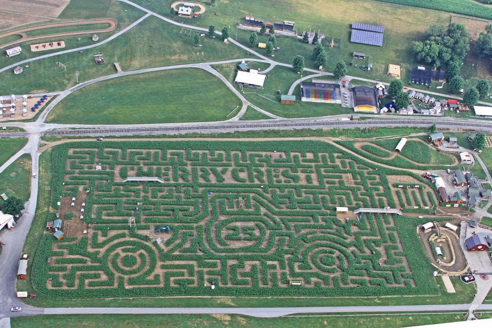 Labyrinthe de maïs à Cherry Crest Adventure Farm