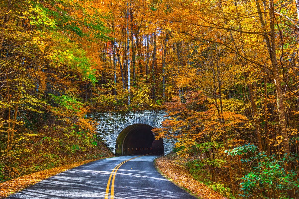 L'automne sur la Blue Ridge Parkway