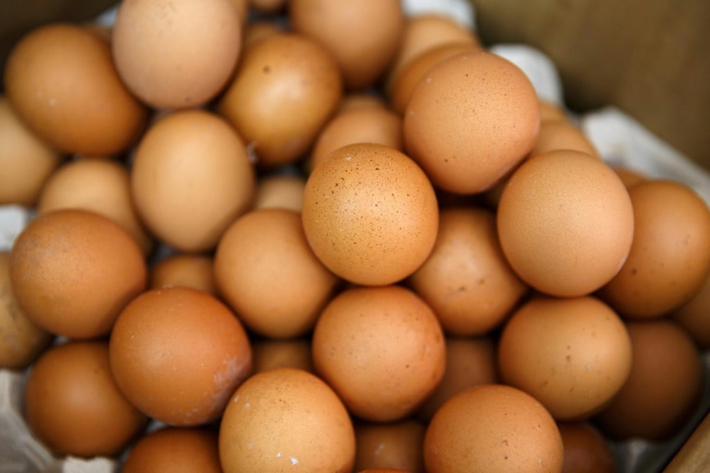 Lire la suite à propos de l’article Alertes d&rsquo;allergie FDA: Contaminations au lait, aux œufs et aux pacanes
