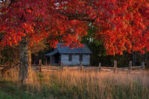 Brilliant fall colors in the South