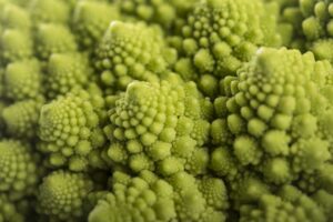 Romanesco broccoli