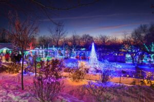 Lights take center stage at these botanical garden events