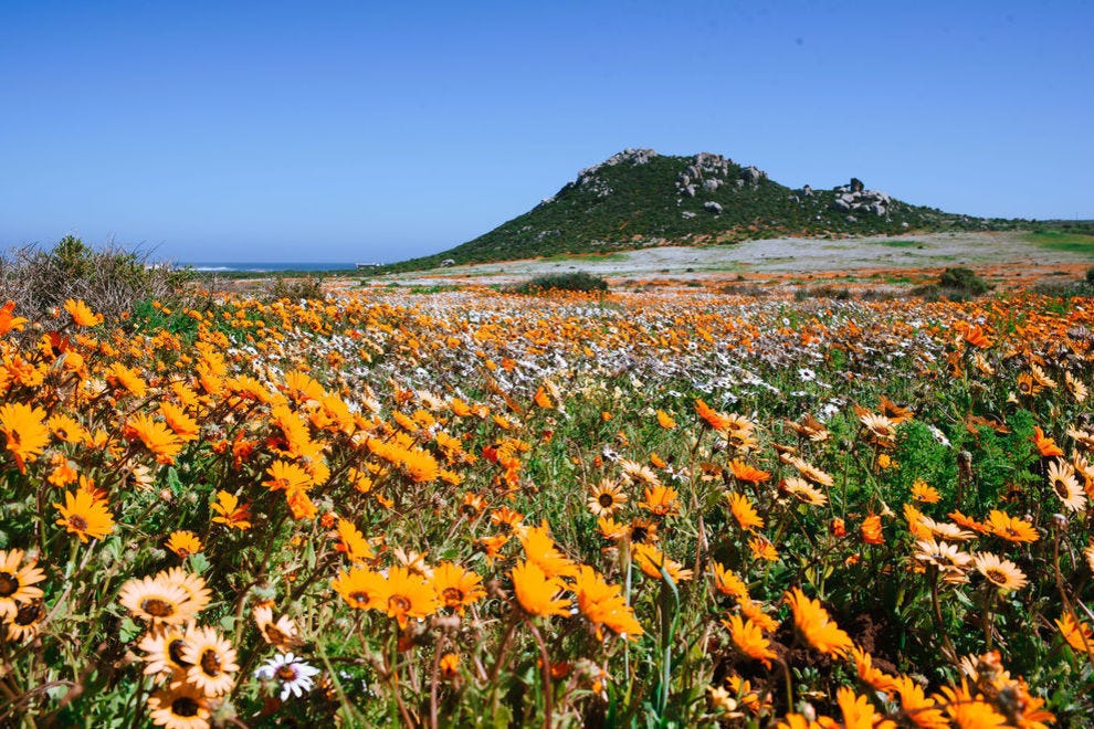 Parc national de la côte ouest