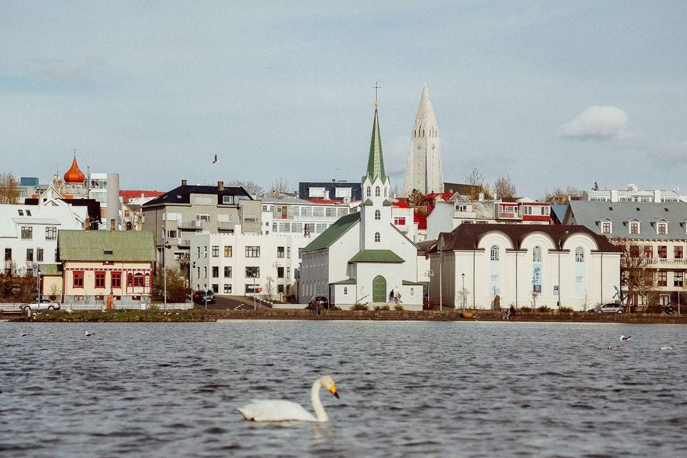 Centre-ville de Reykjavik avec cygne en premier plan
