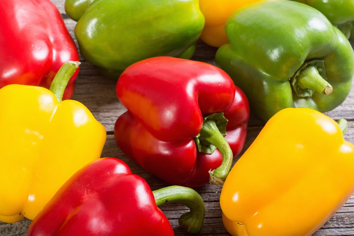 pâtes, accompagnements et plats principaux
