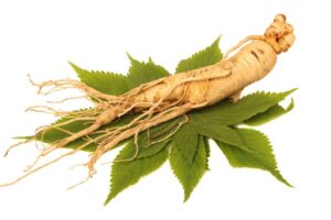 Le Ginseng | propriétés, avantages et contre-indications