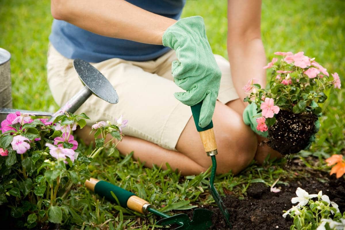 You are currently viewing Pesticides naturels pour les plantes: trucs et astuces
