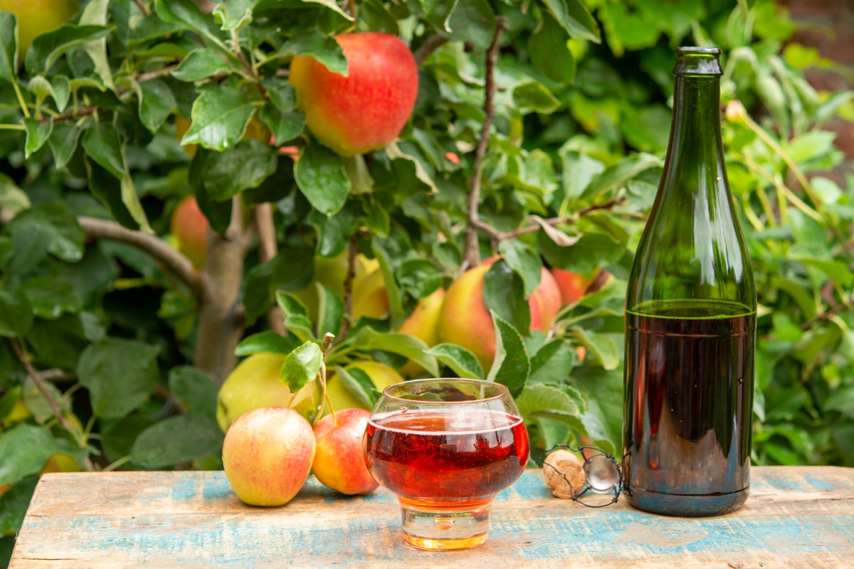 Lire la suite à propos de l’article ingrédients et recette de cette boisson
