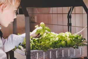 qu'est-ce que c'est, comment ça marche et quelles sont les plantes les plus appropriées