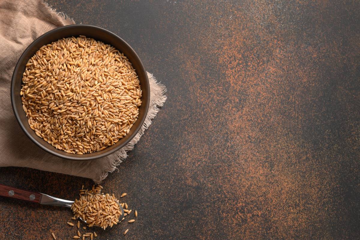 Lire la suite à propos de l’article valeurs nutritionnelles, propriétés, recettes, contre-indications