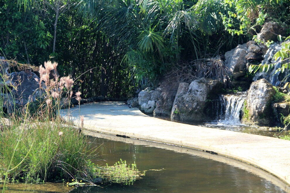 La faune indigène et les plans d'eau apaisants font de Leon Levy Native Plant Preserve un refuge tranquille sur Eleuthera