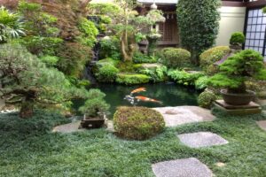 Jardin zen japonais, comment le faire: conseils d'experts