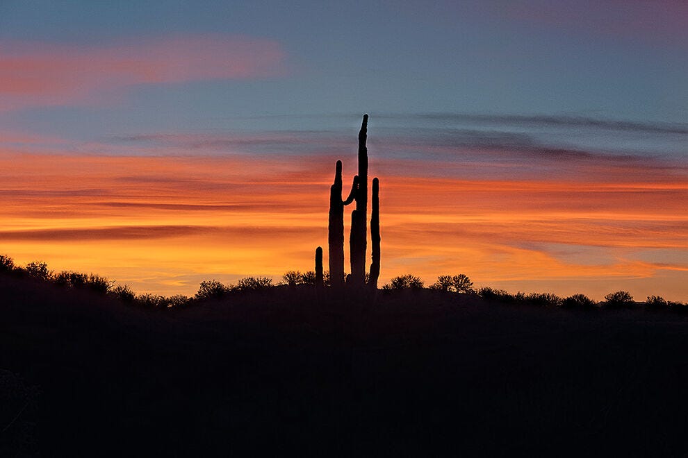 Coucher de soleil à Saguaro sur l'AZT