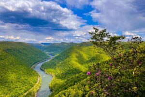 View from a trail along the New River Gorge rim