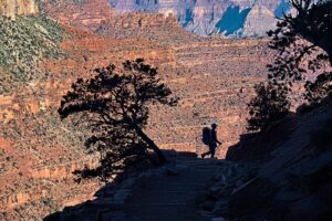 Descending Into the Grand Canyon