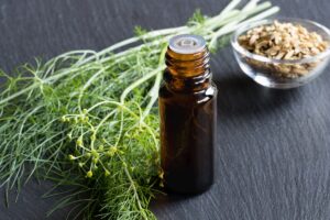 Découvrons toutes les qualités de l'huile essentielle de fenouil