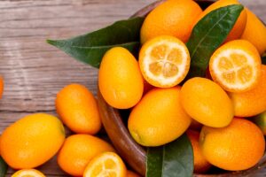 propriétés et usages de la fortunella ou mandarine chinoise