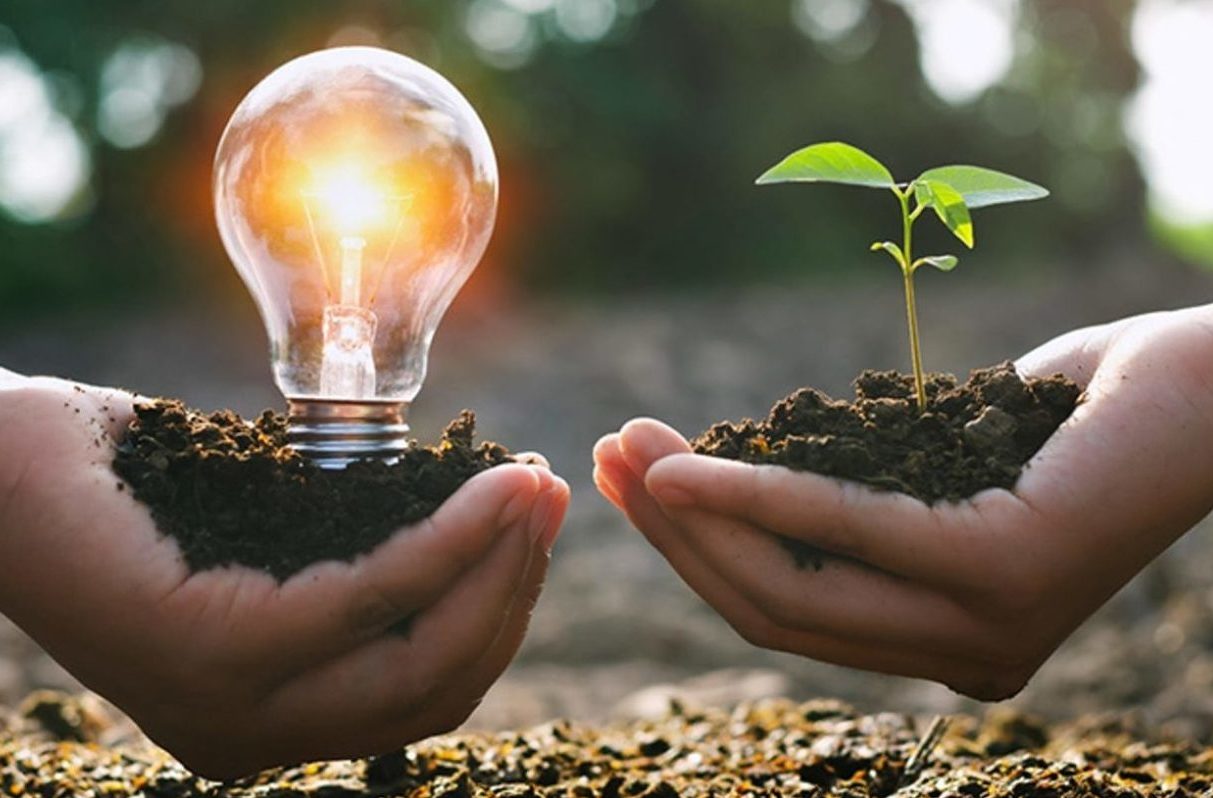 100 % de lumière verte et 0 % de gaz CO2