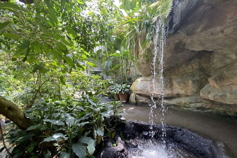 Jardin botanique de Cleveland - serre Costa Rica