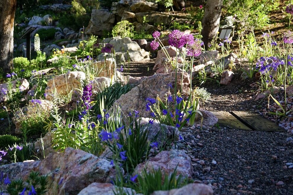 Betty Ford Alpine Gardens - Jardin de la Route de la Soie