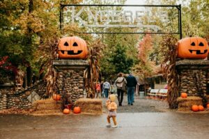 Amusement parks offer spooky family fun