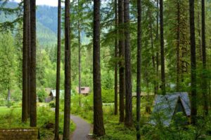 The trail through Loloma Lodge