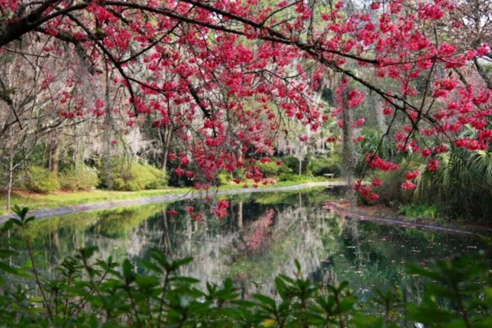 Le parc d'État Alfred B. Maclay Gardens possède des piscines réfléchissantes, un lac pour la baignade et la navigation de plaisance et des kilomètres de sentiers
