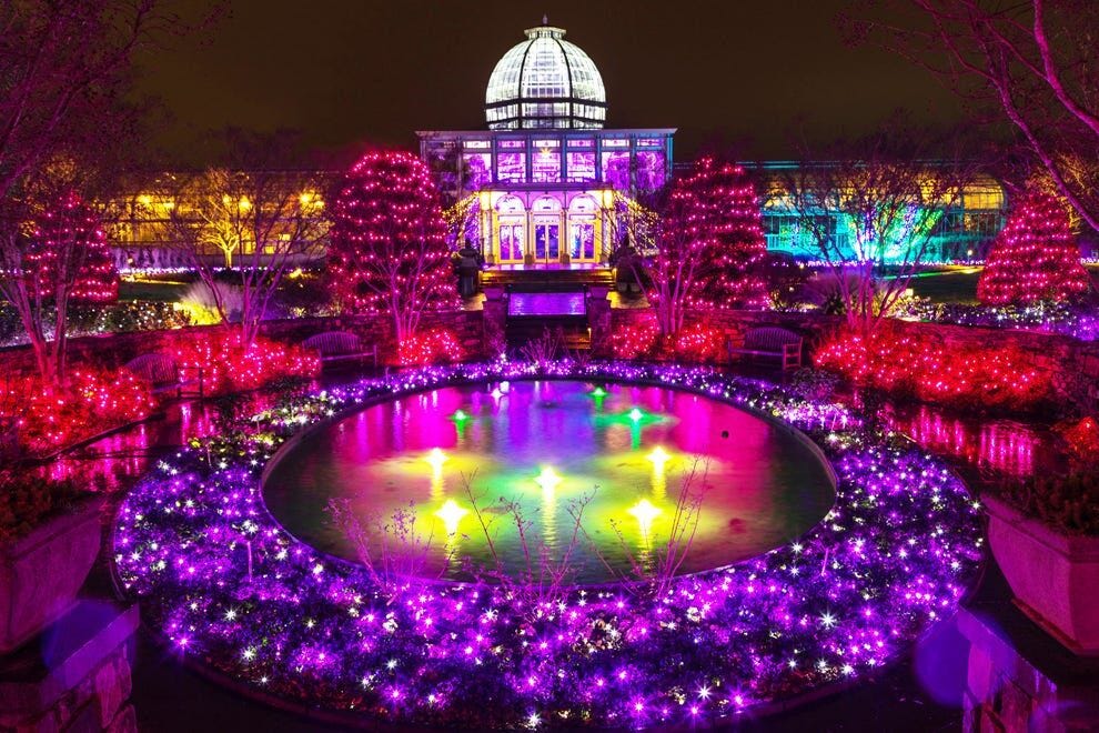 Les jardins botaniques célèbrent les vacances avec des lumières vives et des fleurs festives
