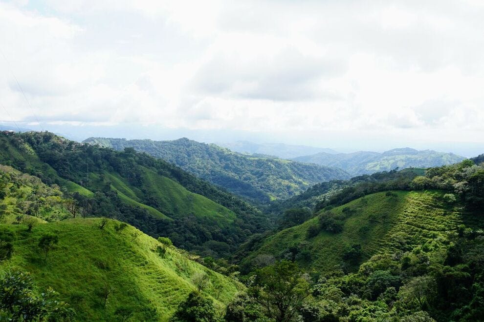 Surplombant une partie de la forêt tropicale du Costa Rica
