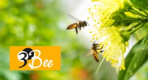 Offrez une ruche 3Bee en cadeau pour protéger les abeilles et aider les apiculteurs