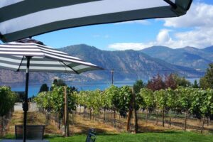 Besides well-crafted wine, Succession Wines is known for live music, great views and exceptional hospitality