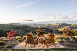 Beauty for miles at DAOU Vineyards