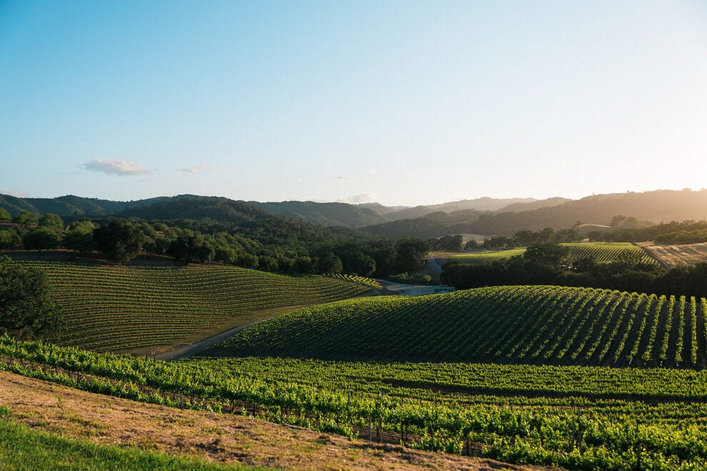 La vue sur la colline des vignobles d'Opolo