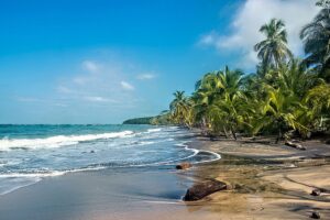 Enjoy the Caribbean in Cahuita National Park