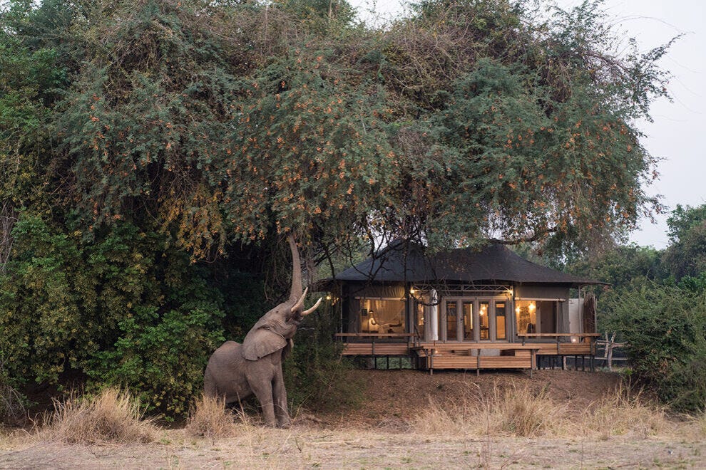 Camp de safari de luxe sur la plaine inondable du fleuve Zambèze