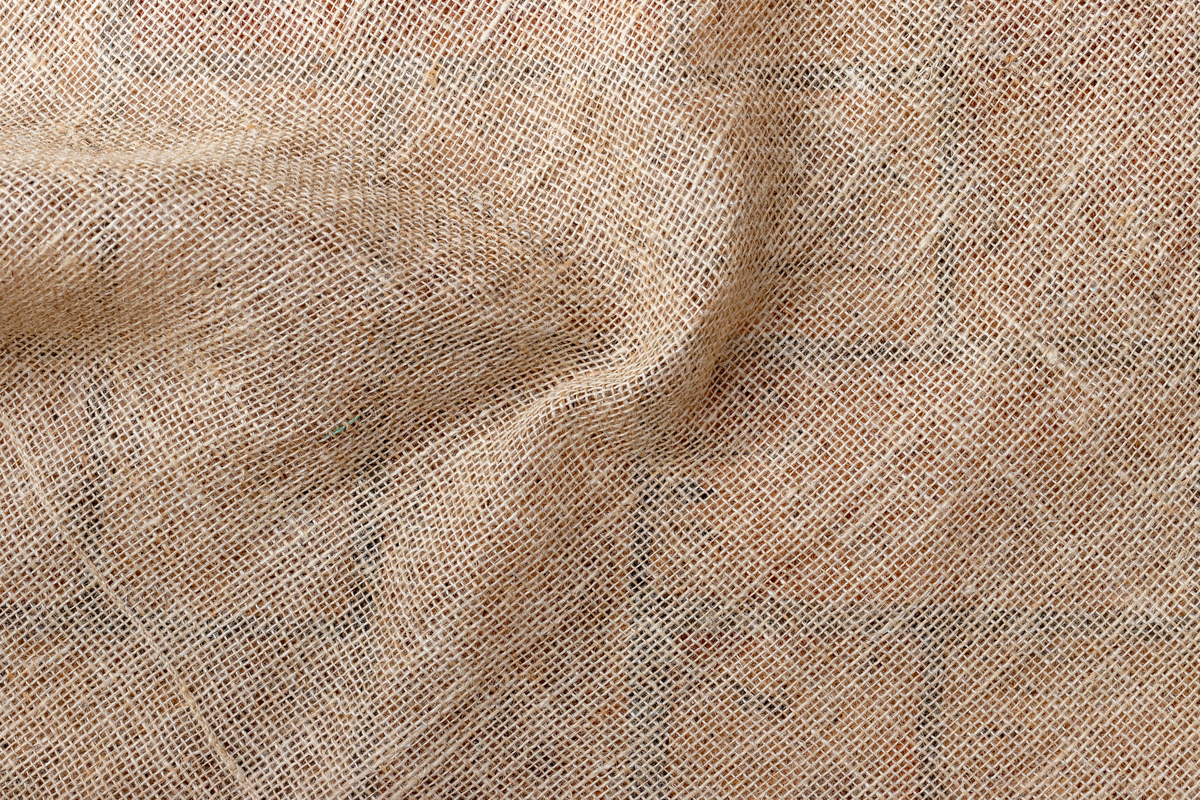 Le kénaf, une fibre écologique issue du végétal et un excellent isolant thermo-acoustique